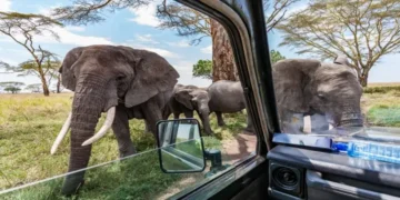 10 Best African Safari Parks